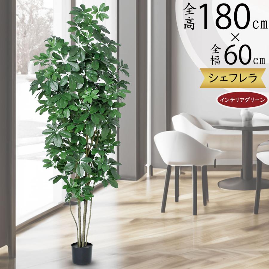 インテリアグリーン 大型 おしゃれ 人気 おすすめ リアル 観葉植物
