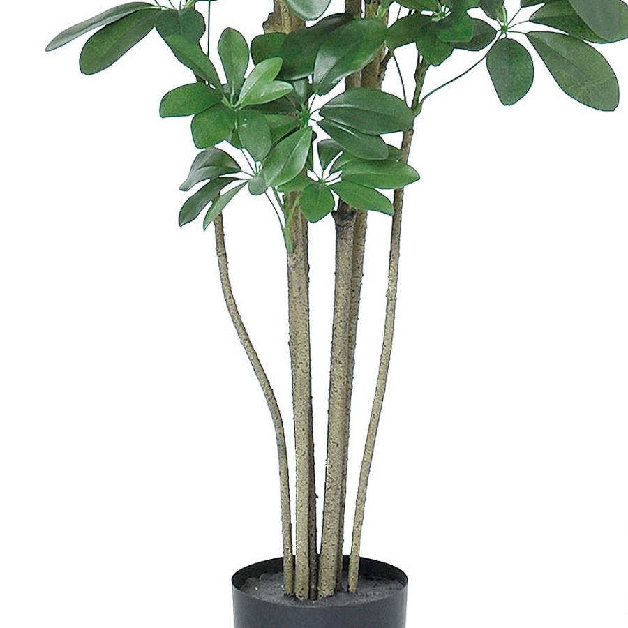 インテリアグリーン 大型 おしゃれ 人気 おすすめ リアル 観葉植物