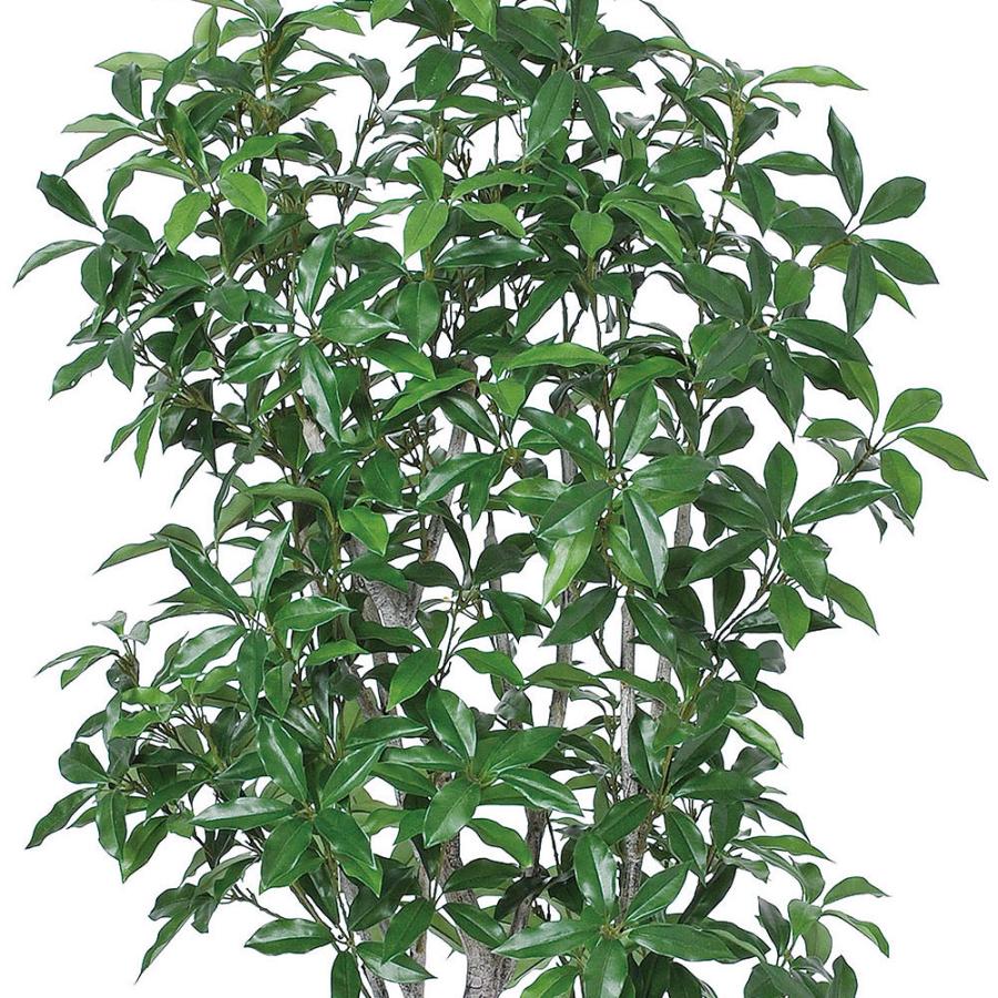 観葉植物 おしゃれ インテリアグリーン リアル 人気 おすすめ フェイク