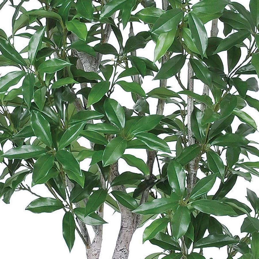 観葉植物 おしゃれ インテリアグリーン リアル 人気 おすすめ フェイク