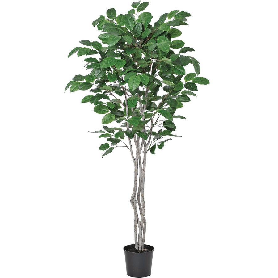 光触媒　人工観葉植物　ウォールグリーン　フェイクグリーン　ジャイアントツリー 観葉植物 おしゃれ 大型 インテリアグリーン フェイクグリーン