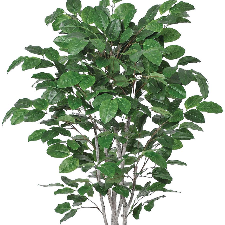 観葉植物 おしゃれ 大型 インテリアグリーン フェイクグリーン リアル