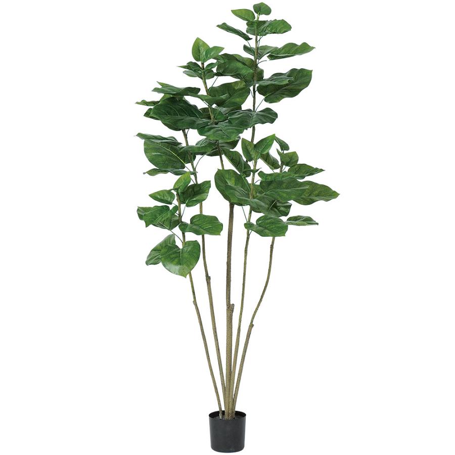 ウンベラータ 大型 人気 インテリアグリーン おしゃれ リアル 観葉植物 フェイクグリーン 造花 人工観葉植物 人工樹木 オブジェ 家具 ギフト 新築祝い 150cmの画像