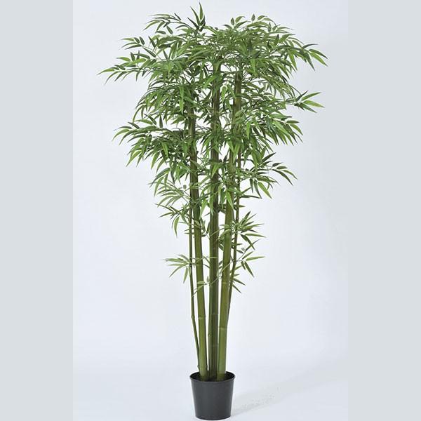 竹 人工観葉植物 全高2 0m バンブー 笹の葉 人工樹木 造花 インテリアグリーン フェイクグリーン Sa A 人工観葉植物と造花の通販ケイシン 通販 Yahoo ショッピング