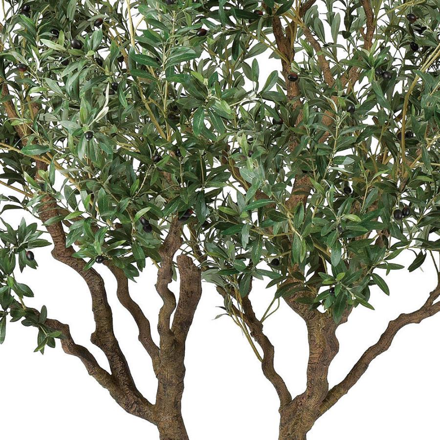 オリーブの木 おしゃれ 大型 インテリアグリーン 人気 フェイク