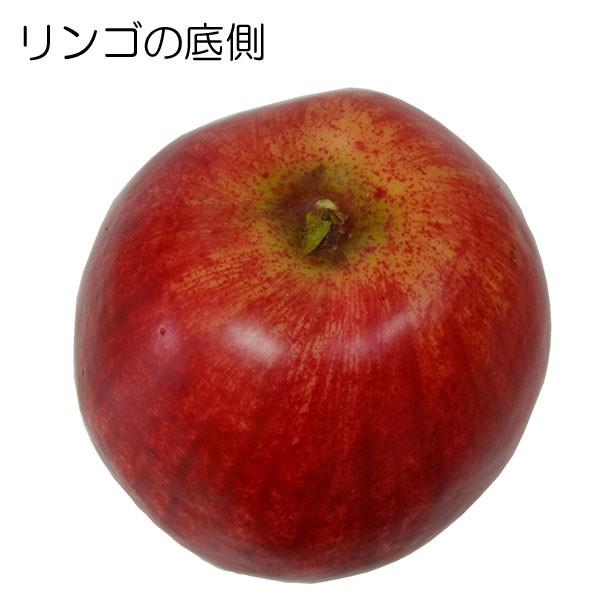 食品サンプル りんご フェイクフード アップル 林檎 直径8cm 2個セット :san-a20399:インテリアグリーンと植木鉢の通信販売