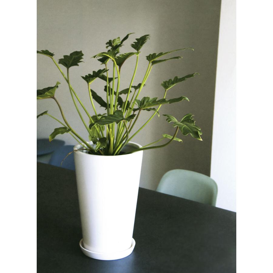 植木鉢 受け皿付き おしゃれ 人気 プランター ポット 観葉植物 観葉鉢