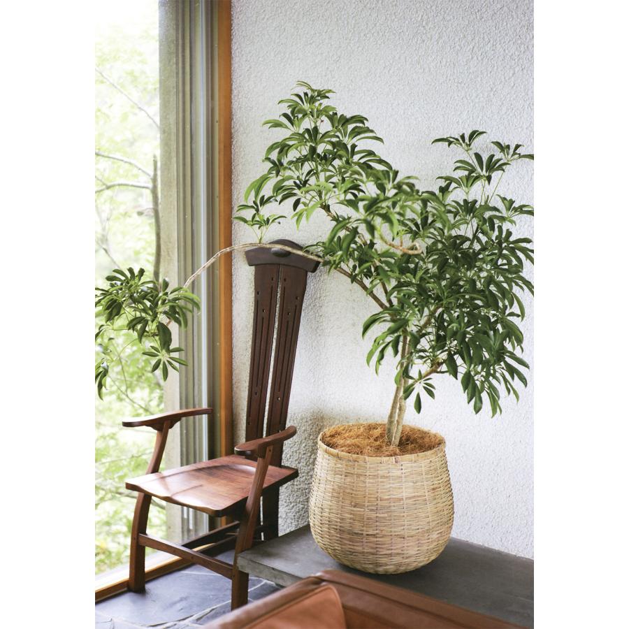 鉢カバー 大型 バスケット おしゃれ 人気 プランター 観葉植物