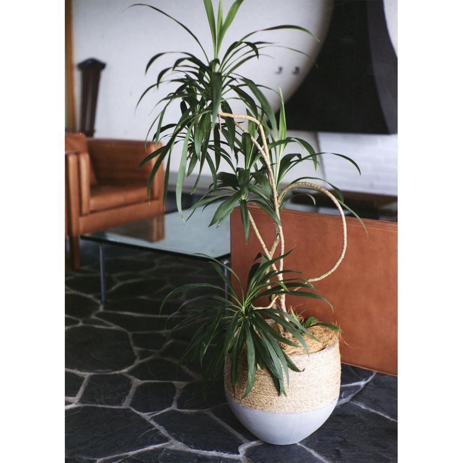 鉢カバー 大型 バスケット おしゃれ 人気 プランター 観葉植物