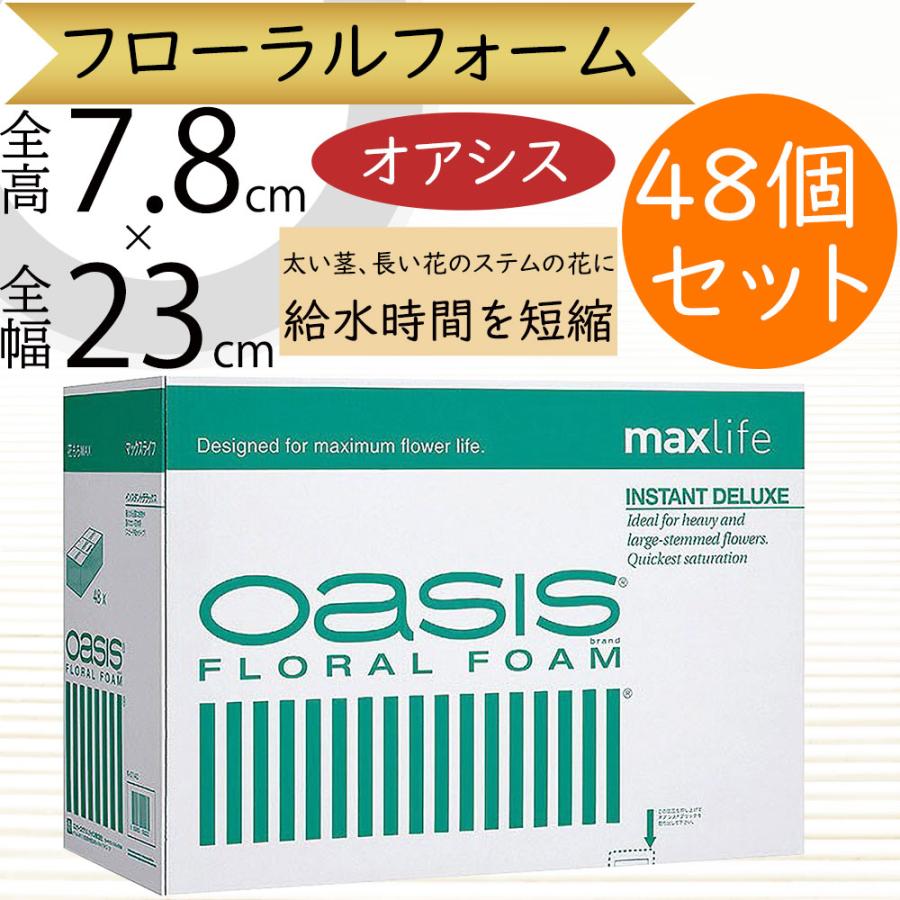 オアシス フローラルフォーム 人気 吸水 スポンジ フラワー