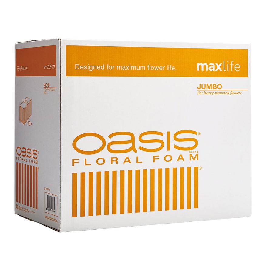 オアシス フローラルフォーム 人気 吸水 スポンジ フラワー