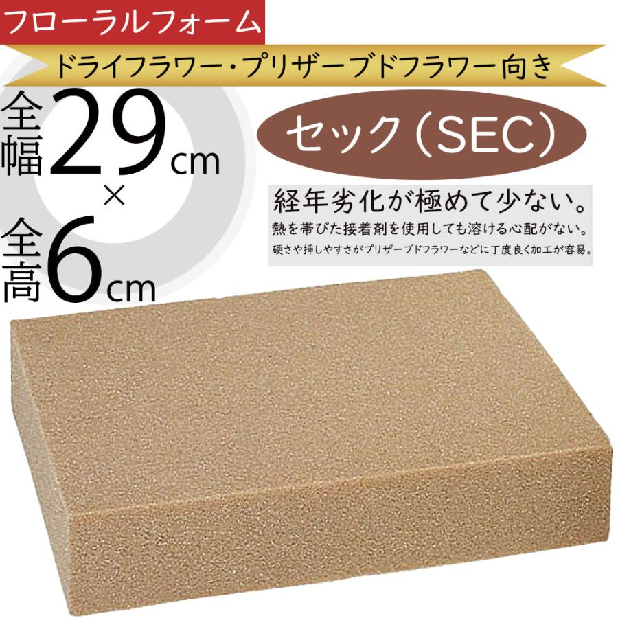 オアシス セックプレート 6 プリザーブドフラワー用 ドライフラワー用 