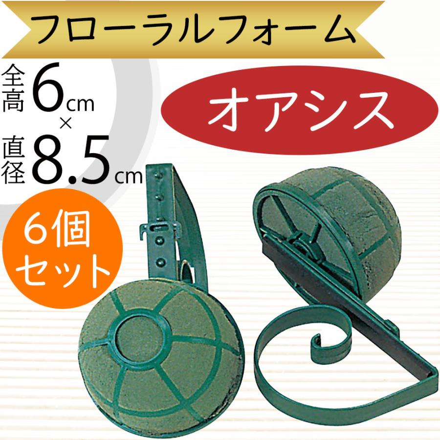公式 ル クリップ 全高6cm 直径8 5cm 6個セット 生け花 生花 花材 資材 土台 ベース オアシス 吸水スポンジ 吸水フォーム フラワーアレンジメント 海外最新 Www Simon Page Com