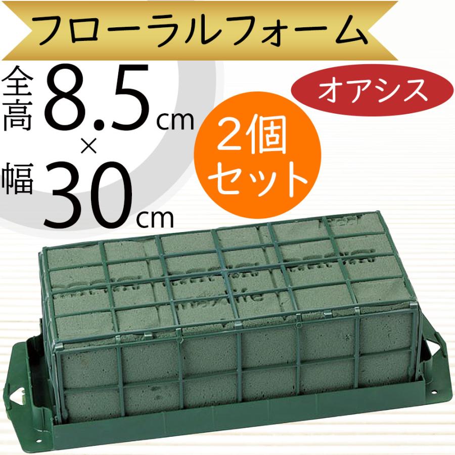 オアシス フローラルフォーム 人気 吸水 給水 スポンジ フラワー