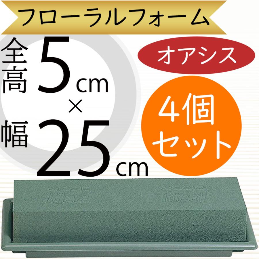 オアシス フローラルフォーム 人気 吸水 給水 スポンジ フラワー