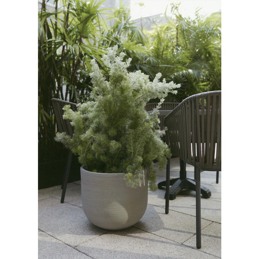 鉢カバー プランターカバー おしゃれ 大型 人気 観葉植物 鉢カバー プランターカバー おしゃれ 大型 人気 観葉植物