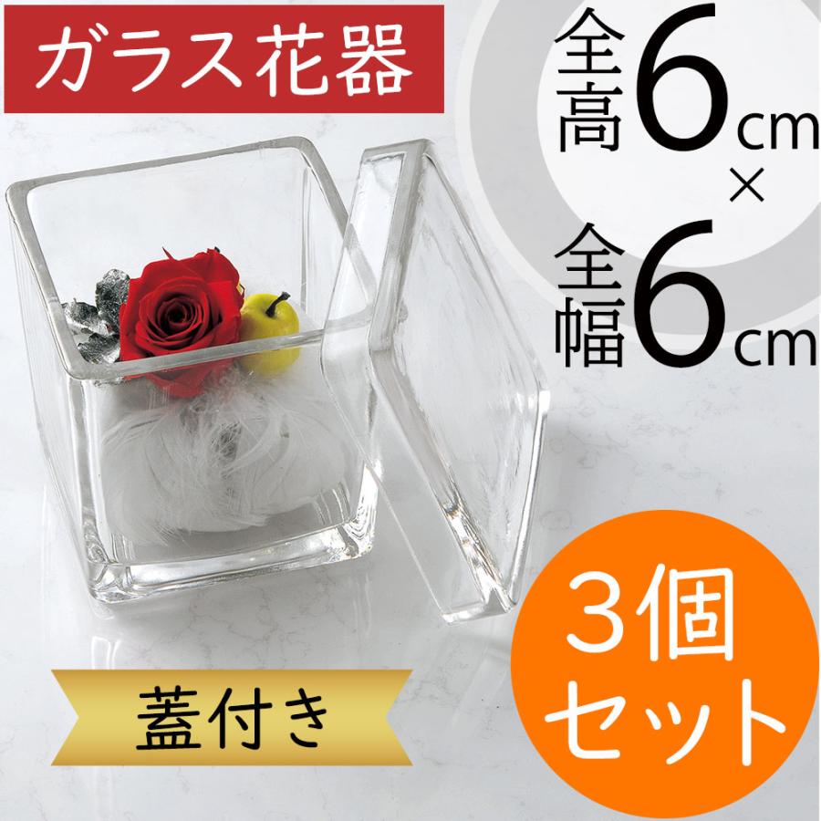 ガラス花瓶 おしゃれ 人気 おすすめ フラワーベース キューブ 四角