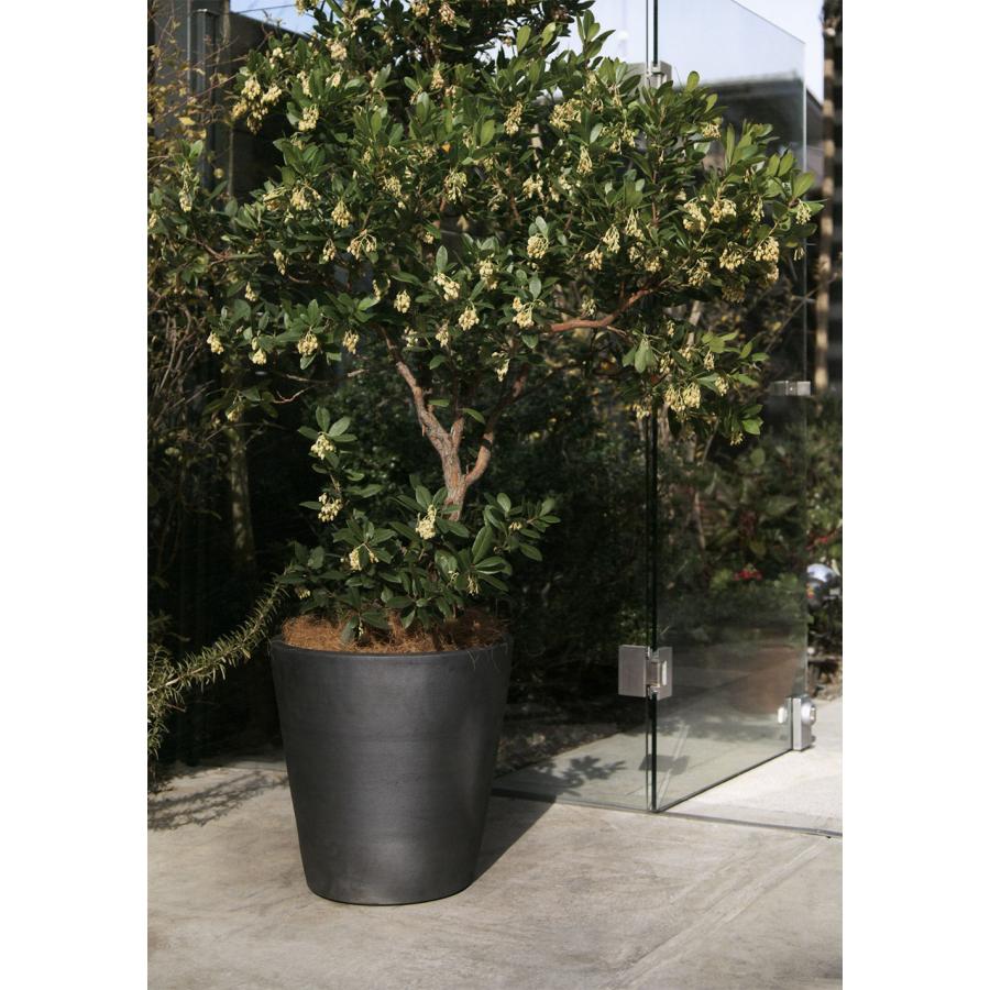 テラコッタ 植木鉢 大型 おしゃれ 人気 おすすめ プランター 観葉植物