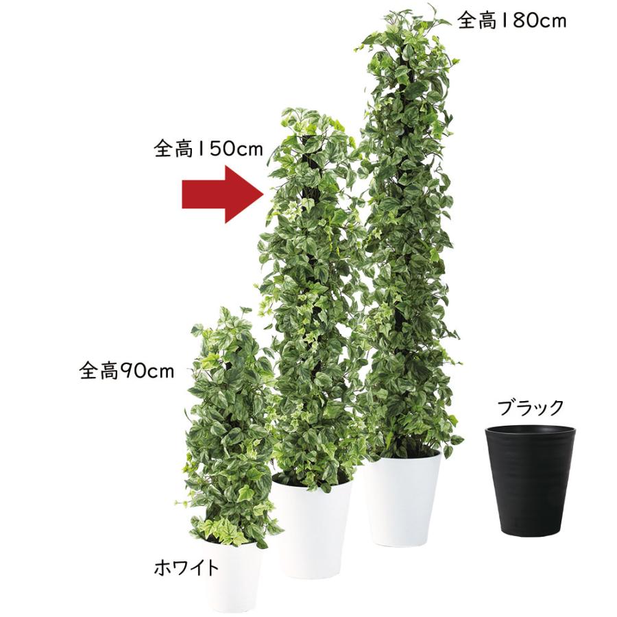 ポトス アイビー ヘゴ インテリアグリーン おしゃれ 人気 観葉植物