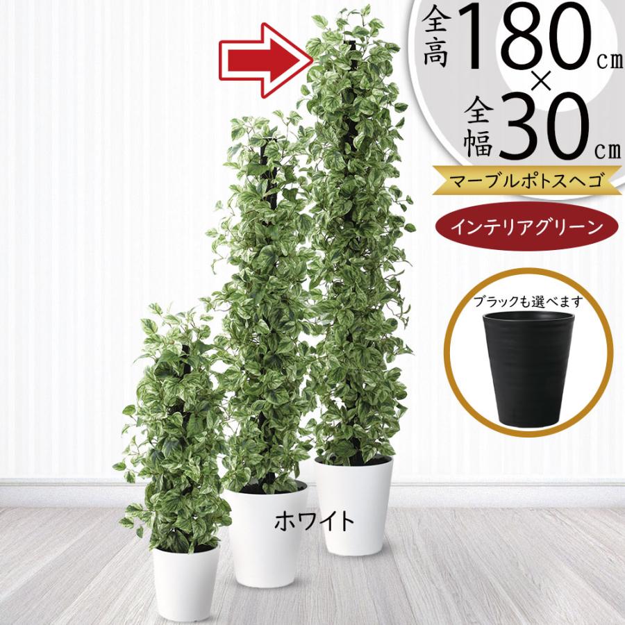 ポトス ヘゴ 大型 インテリアグリーン おしゃれ 人気 観葉植物 リアル 