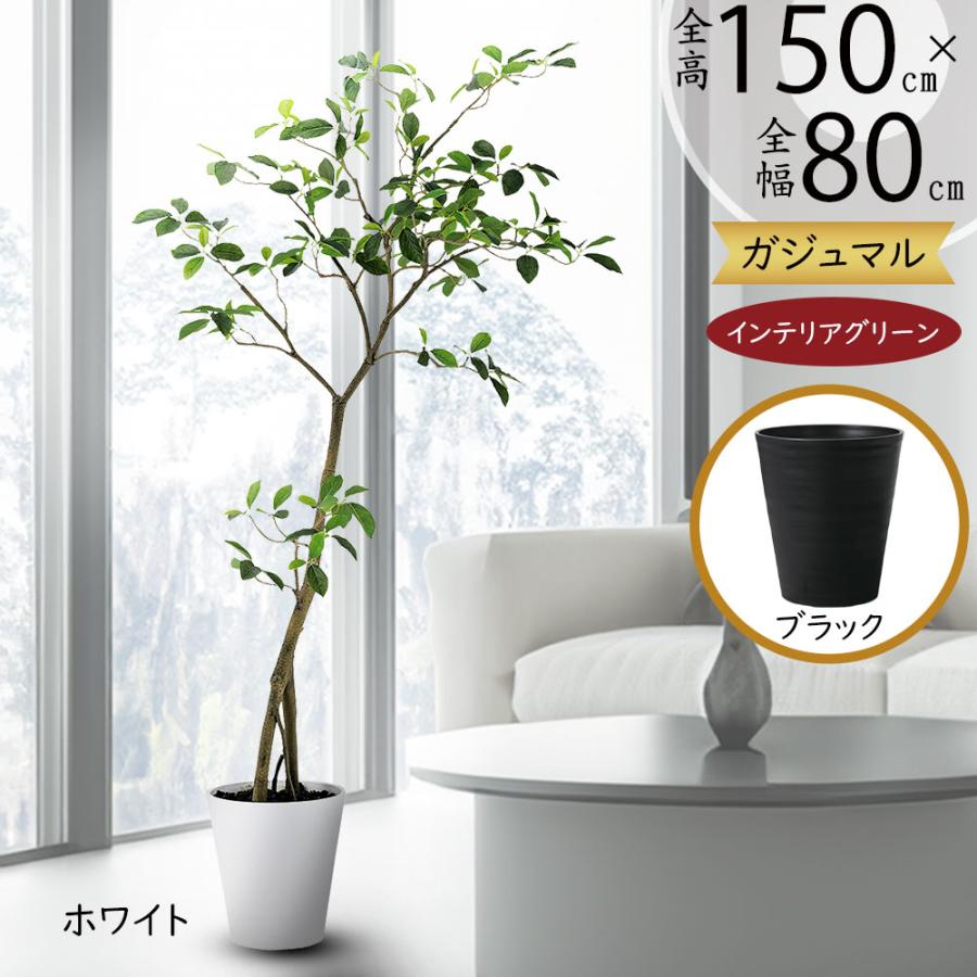 インテリアグリーン おしゃれ 人気 ガジュマル カジュマル リアル 観葉