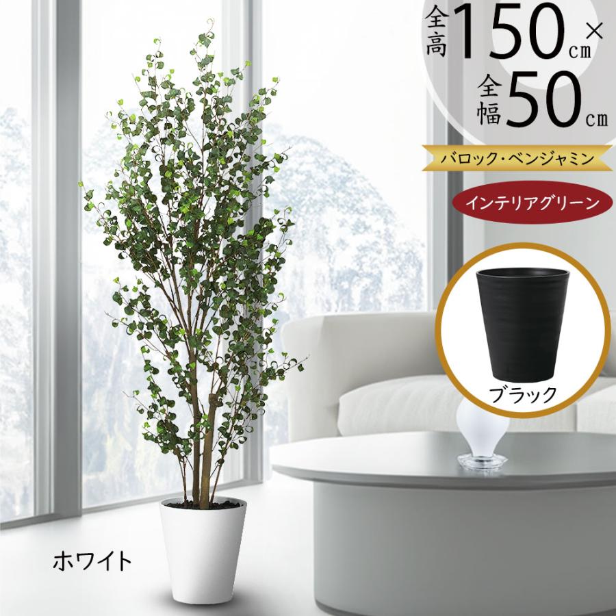 ベンジャミンバロック インテリアグリーン おしゃれ 人気 リアル