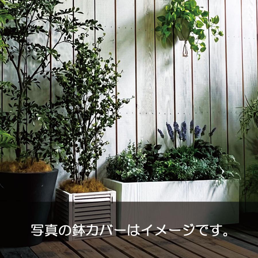 直営店舗 光触媒 人工観葉植物 ウォールグリーン フェイクグリーン