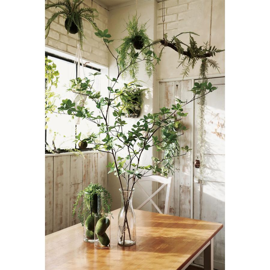 ドウダンツツジ インテリアグリーン おしゃれ 人気 おすすめ