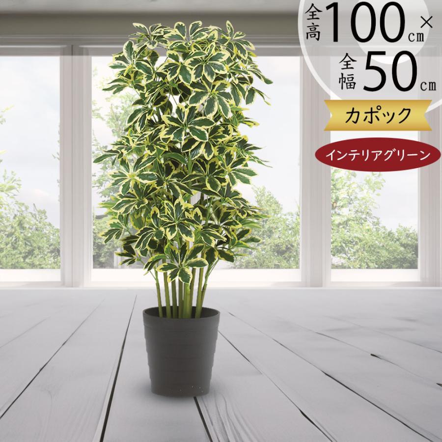 光触媒 人工観葉植物 ウォールグリーン フェイクグリーン クッカバラ