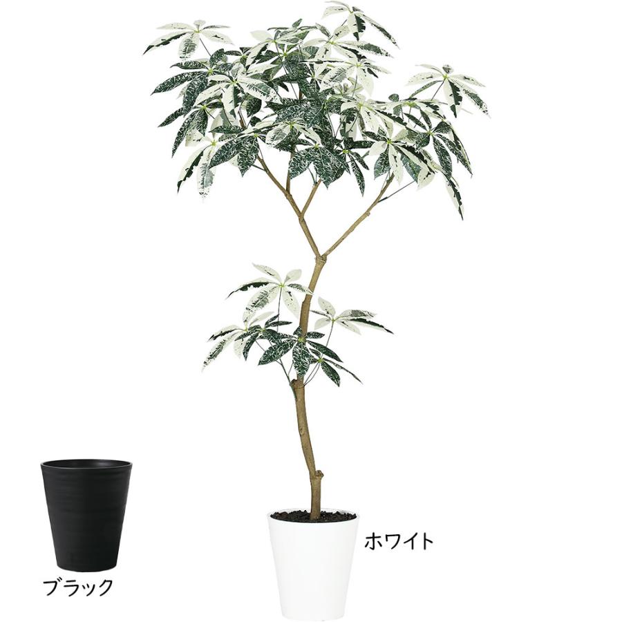 パキラ ミルキーウェイ おしゃれ インテリアグリーン 人工観葉植物