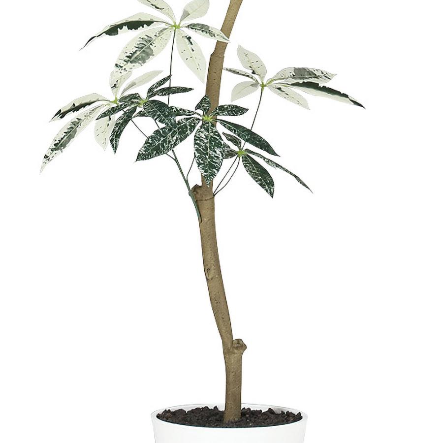 パキラ ミルキーウェイ おしゃれ インテリアグリーン 人工観葉植物