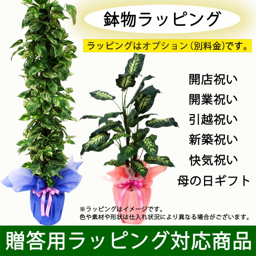 ストレリチア ストレチア 観葉植物 おしゃれ 人気 インテリアグリーン フェイクグリーン 造花 リアル 人工観葉植物 人工樹木 オーガスタ ギフト 新築祝い 120cm_8