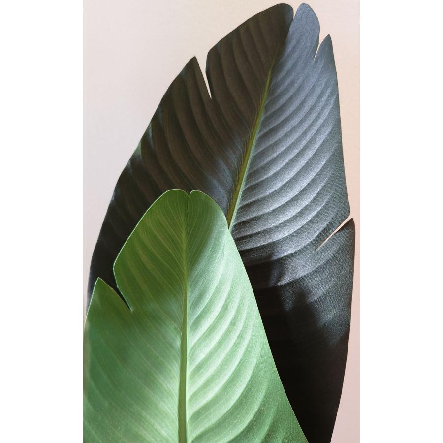 ストレリチア ストレチア 観葉植物 おしゃれ 人気 インテリアグリーン フェイクグリーン 造花 リアル 人工観葉植物 人工樹木 オーガスタ ギフト 新築祝い 120cm_3