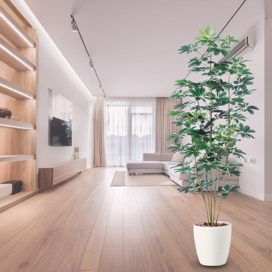 インテリアグリーン 大型 おしゃれ 人気 おすすめ リアル 観葉植物