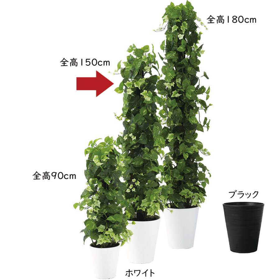 ポトス アイビー ヘゴ インテリアグリーン おしゃれ 人気 観葉植物