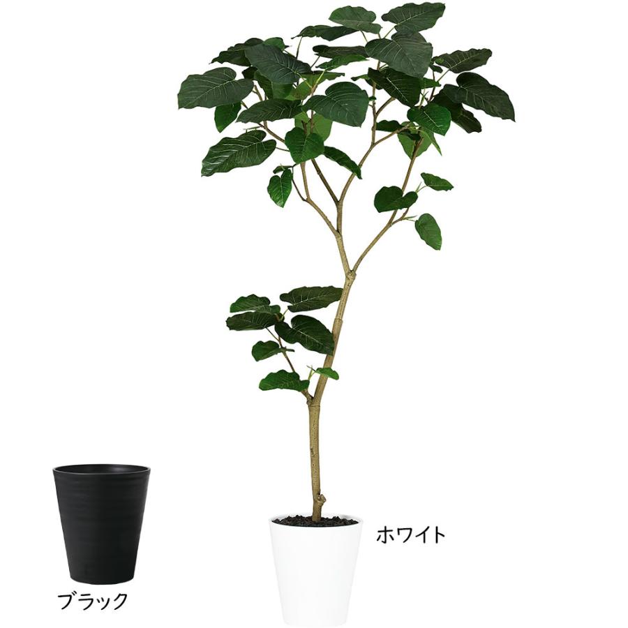 ウンベラータ おしゃれ 観葉植物 インテリアグリーン フェイクグリーン
