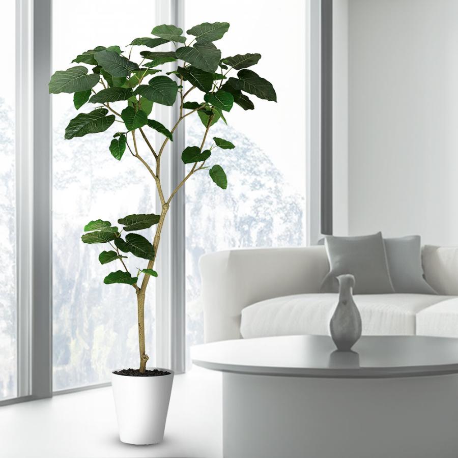 ウンベラータ おしゃれ 観葉植物 インテリアグリーン フェイクグリーン