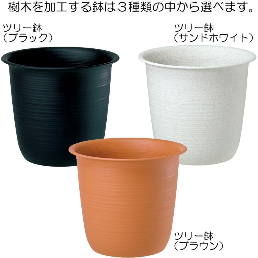 トネリコ 人工観葉植物 大型 特大 おしゃれ ゴールデンリーフ フェイクグリーン リアル インテリアグリーン おすすめ 観葉植物 人工樹木 造花 コアッド 230cm_12