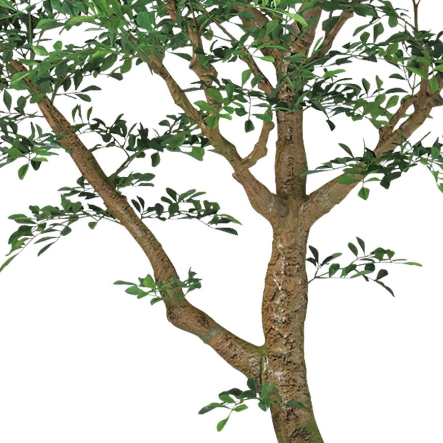トネリコ 人工観葉植物 大型 特大 おしゃれ ゴールデンリーフ フェイクグリーン リアル インテリアグリーン おすすめ 観葉植物 人工樹木 造花 コアッド 230cm_6