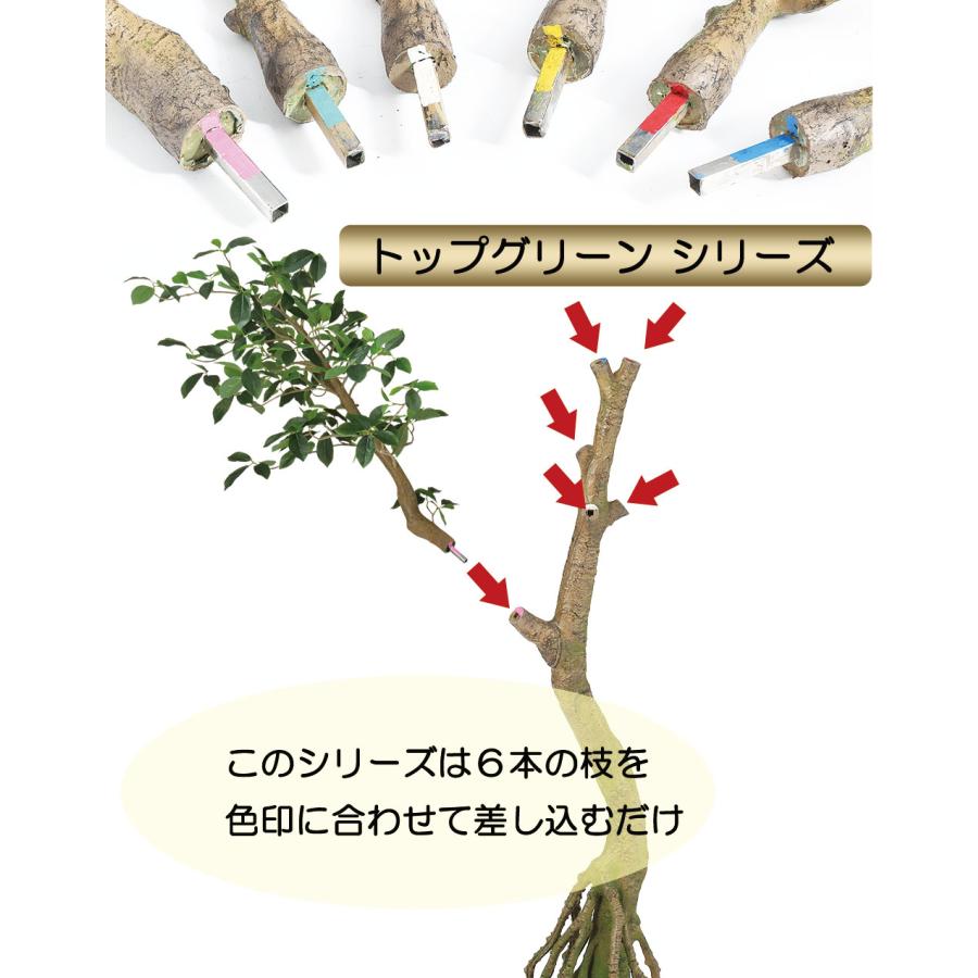 トネリコ 人工観葉植物 大型 特大 おしゃれ ゴールデンリーフ フェイクグリーン リアル インテリアグリーン おすすめ 観葉植物 人工樹木 造花 コアッド 230cm_9