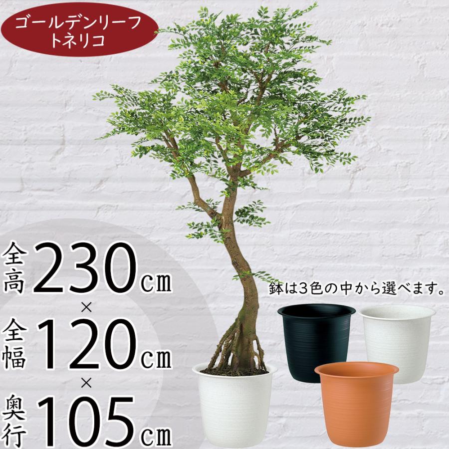 トネリコ 人工観葉植物 大型 特大 ゴールデンリーフ おしゃれ フェイク