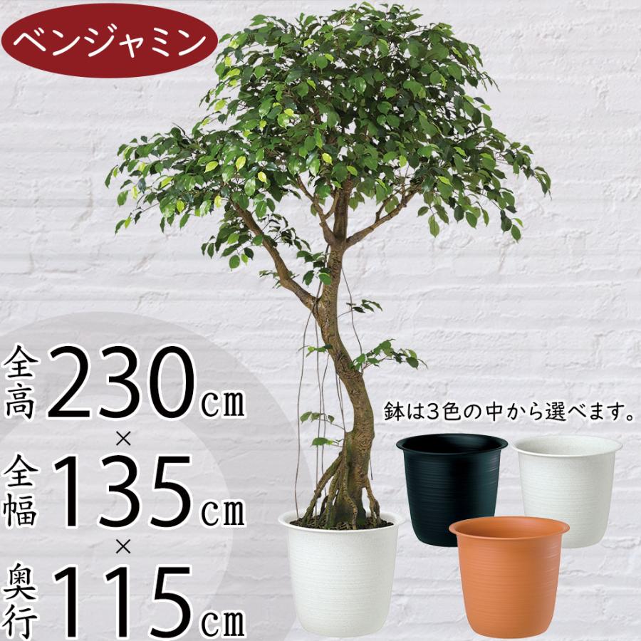 光触媒 人工観葉植物 ウォールグリーン フェイクグリーン ベンジャミン