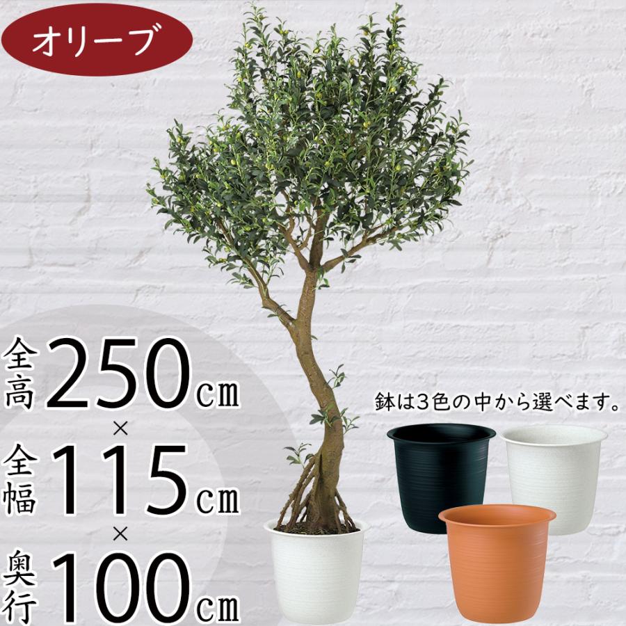 オリーブ 人工観葉植物 大型 特大 おしゃれ フェイクグリーン リアル