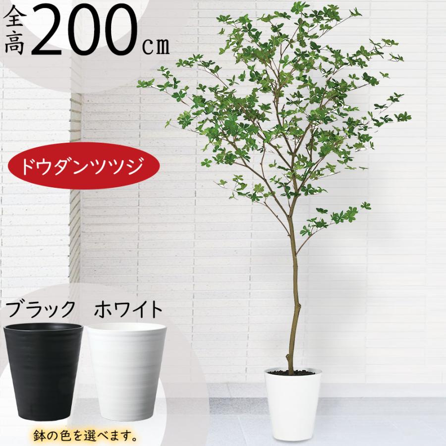 人工観葉植物 おしゃれ 大型 観葉植物 フェイクグリーン インテリア