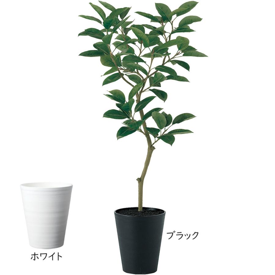 インテリアグリーン おしゃれ 人気 おすすめ リアル 観葉植物 フェイク
