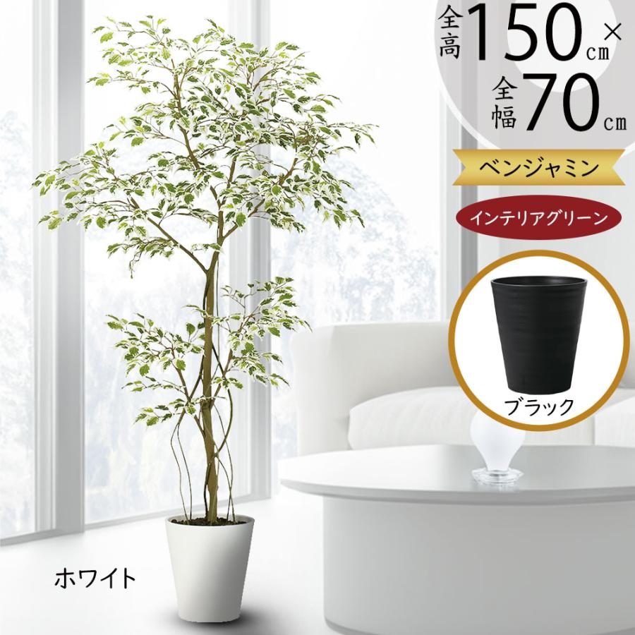 光触媒　人工観葉植物　フェイクグリーン　ベンジャミンスリム150FST 楽天市場】No9276 プレミアム光触媒フェイクグリーン 「フィカス