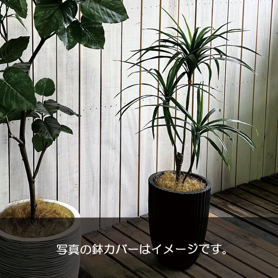 ドラセナ コンシンネ インテリアグリーン おしゃれ 人気 フェイク