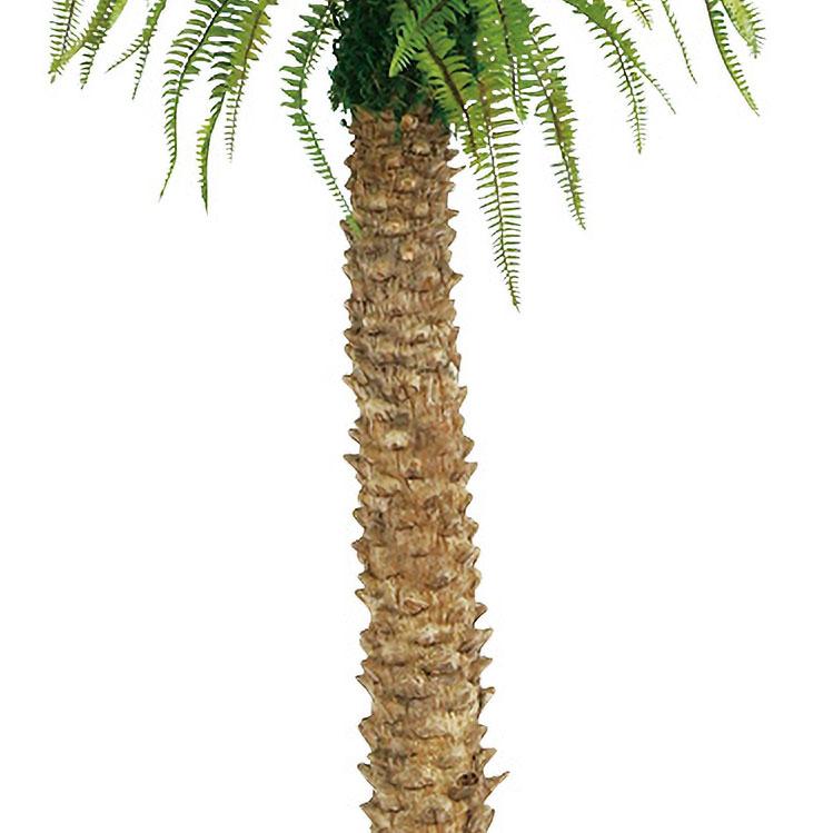 フェニックス 大型 観葉植物 人気 おしゃれ インテリアグリーン