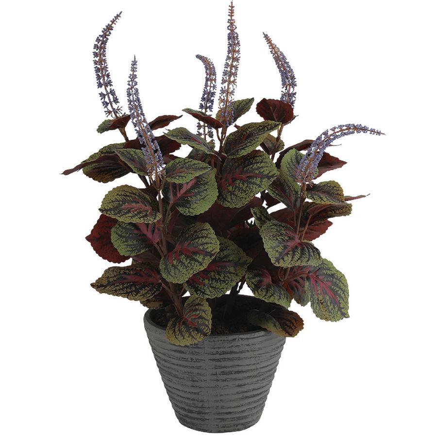 光触媒　人工観葉植物　ウォールグリーン　フェイクグリーン　コリウス4530 光触媒 人工観葉植物 ウォールグリーン フェイクグリーン 壁掛け