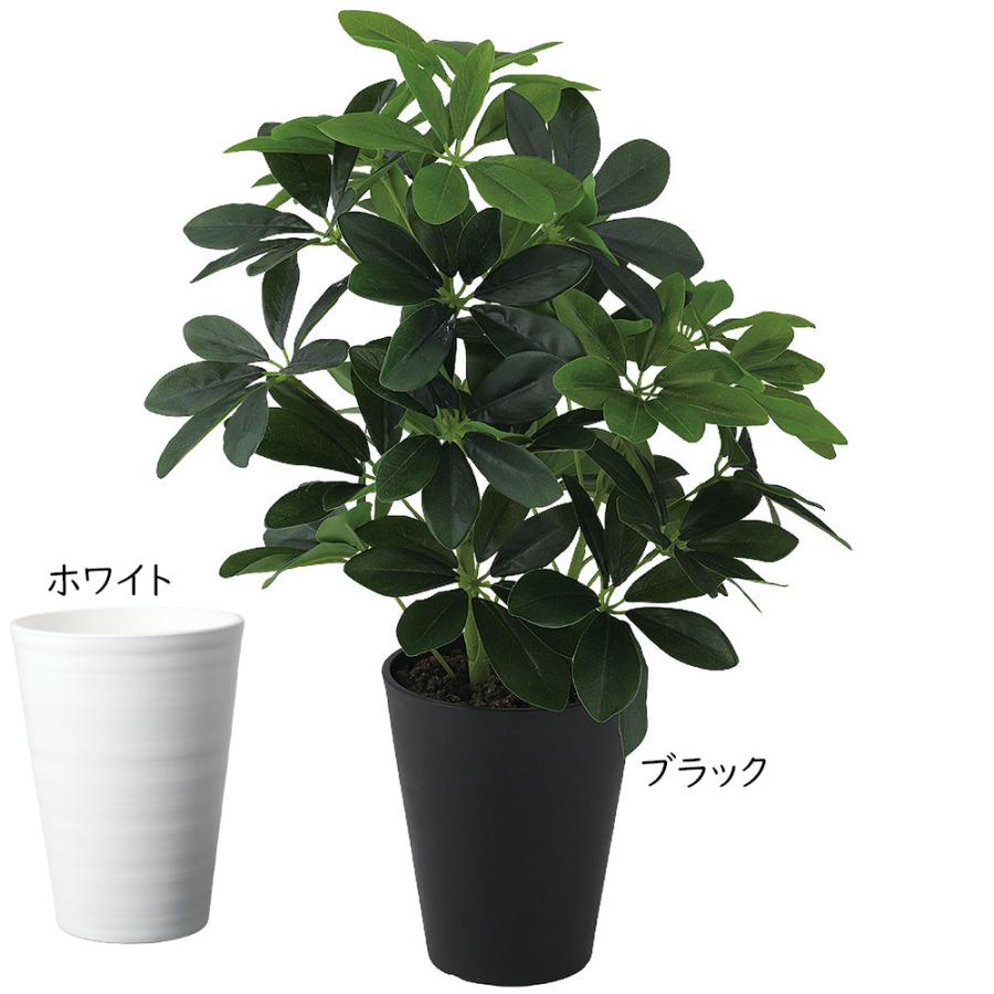 シェフレラ カポック インテリアグリーン おしゃれ 観葉植物 フェイク